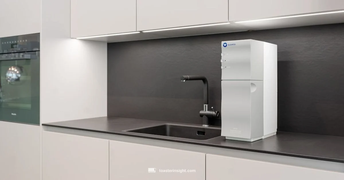 Long Slot Guide - ToasterInsight