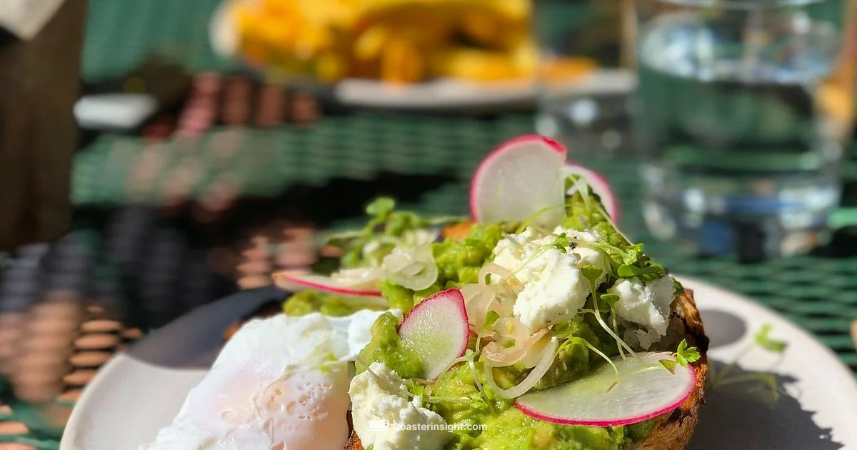 Avocado Toast Health Avocado Toast Health - ToasterInsight