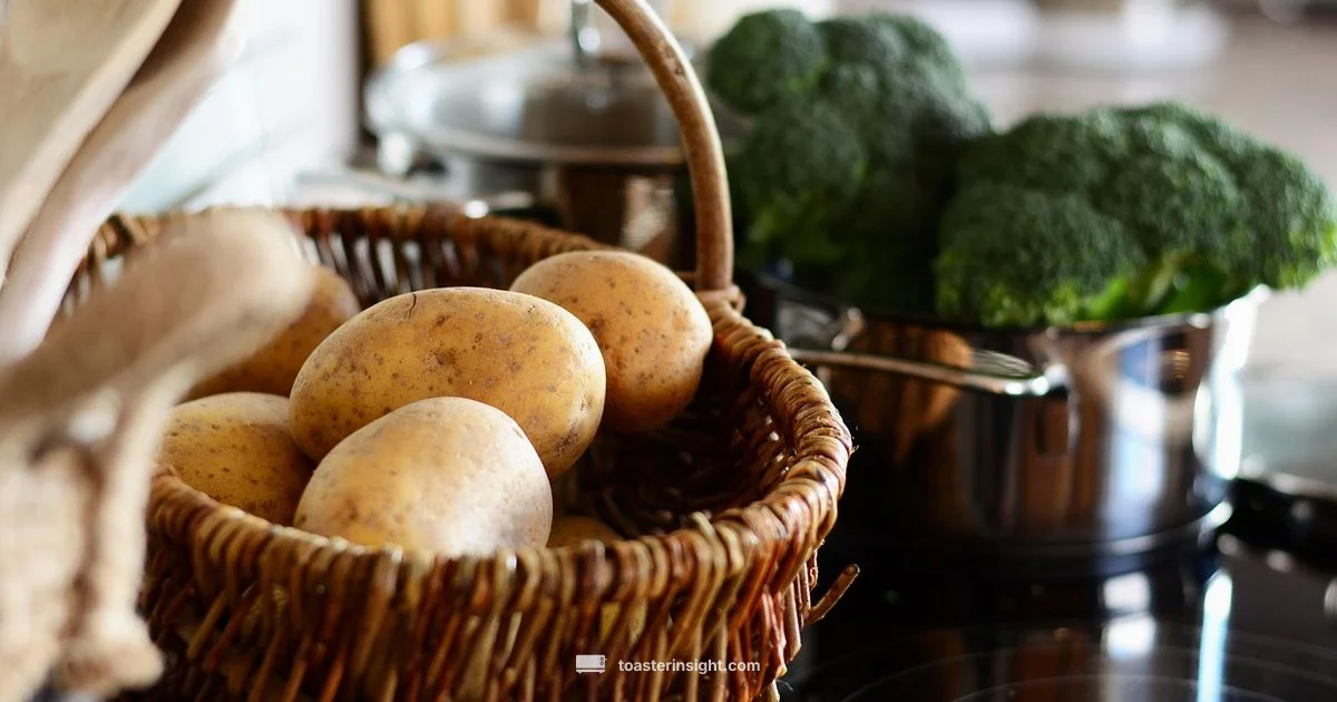 Electric Sandwich Toaster - ToasterInsight