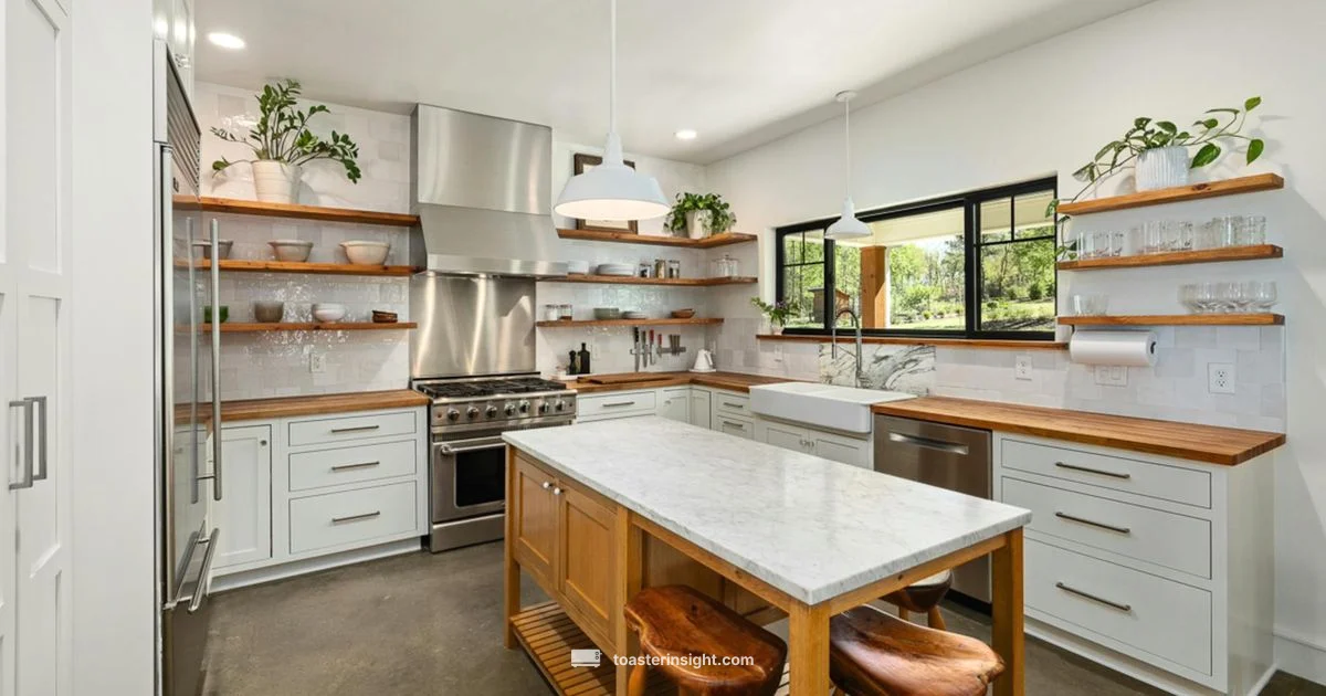 Balmuda vs Air Fryer - ToasterInsight