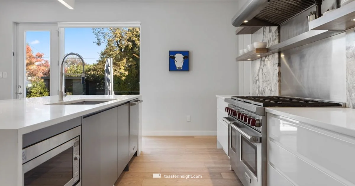 Revolution R180 Guide - ToasterInsight