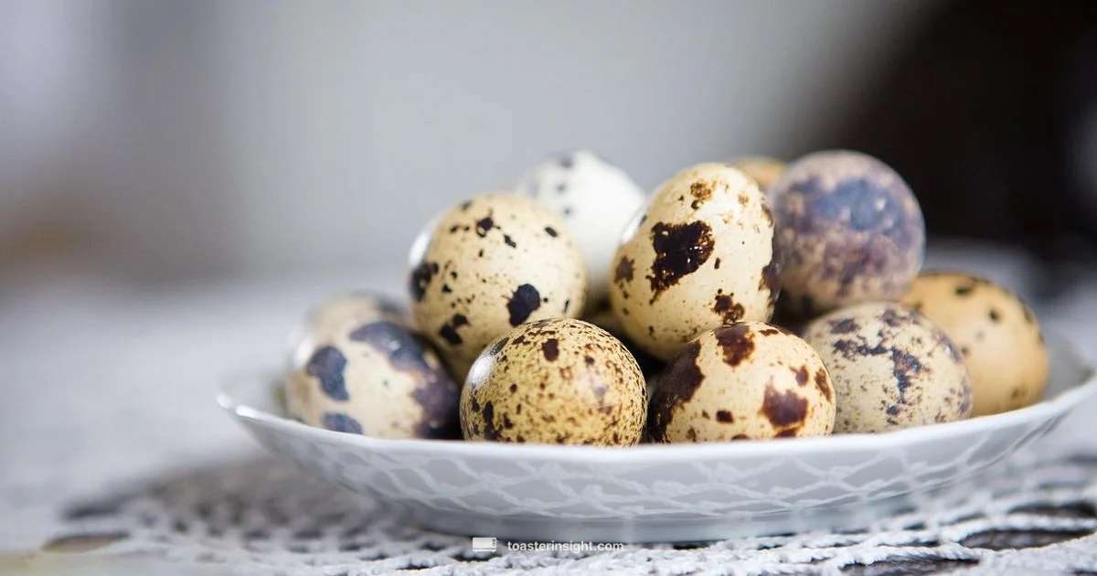 Microwave Strudel Guide Microwave Strudel Guide - ToasterInsight