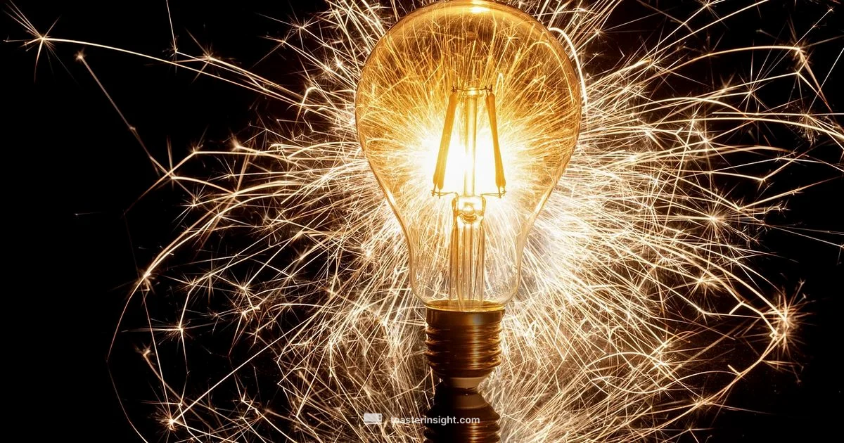 Toaster Pokemon - ToasterInsight