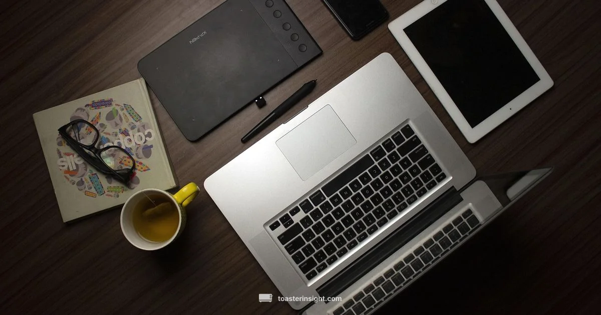 Toaster Studio Setup - ToasterInsight