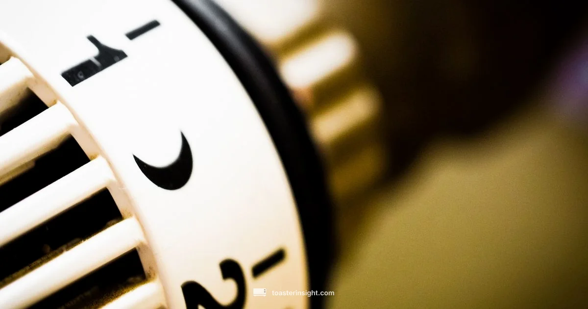 Toaster Heat Science Toaster Heat Science - ToasterInsight