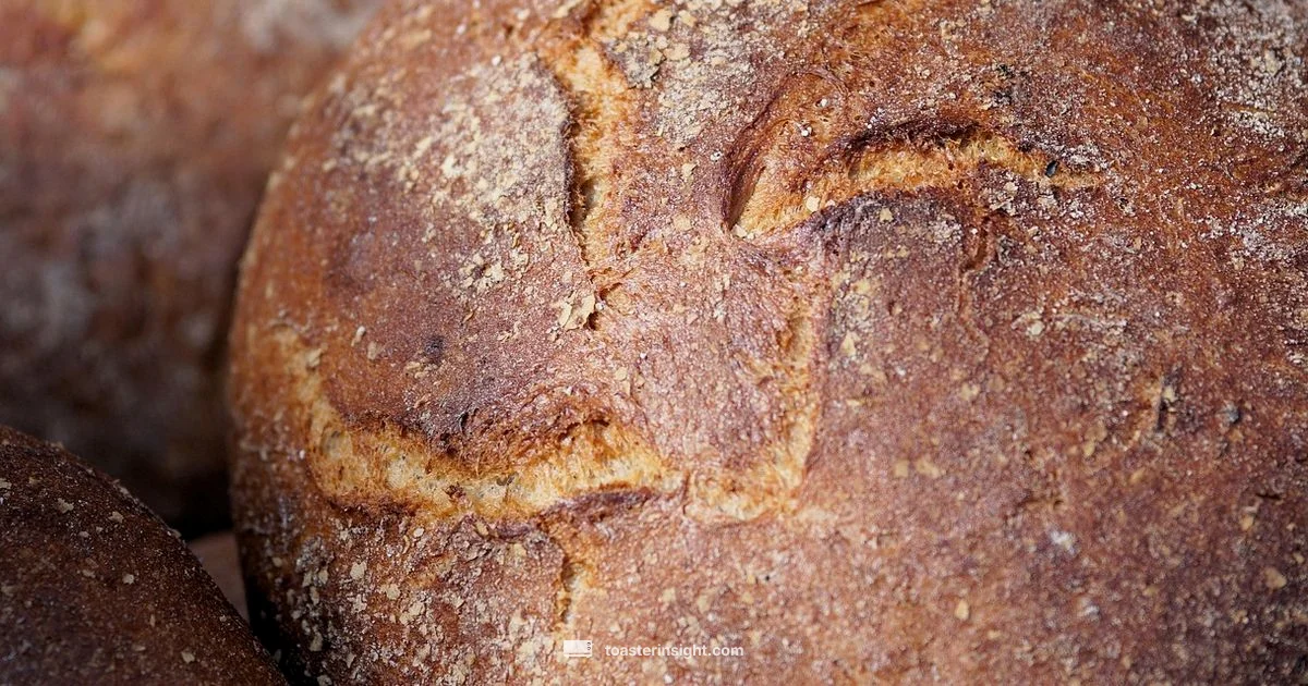 Fresh Toast - ToasterInsight