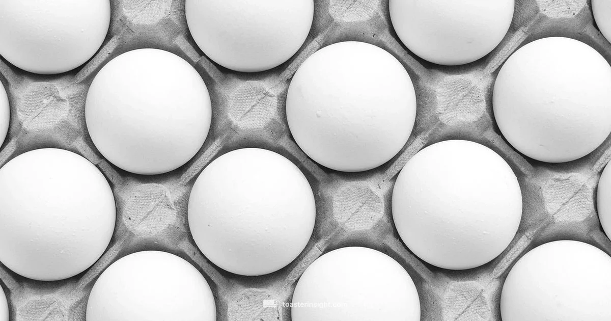 Poached Egg Toaster - ToasterInsight