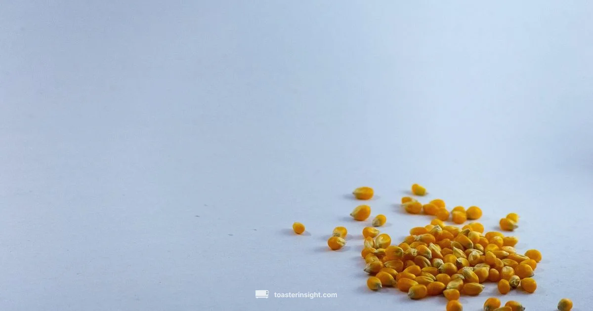 Two Slice Toaster - ToasterInsight