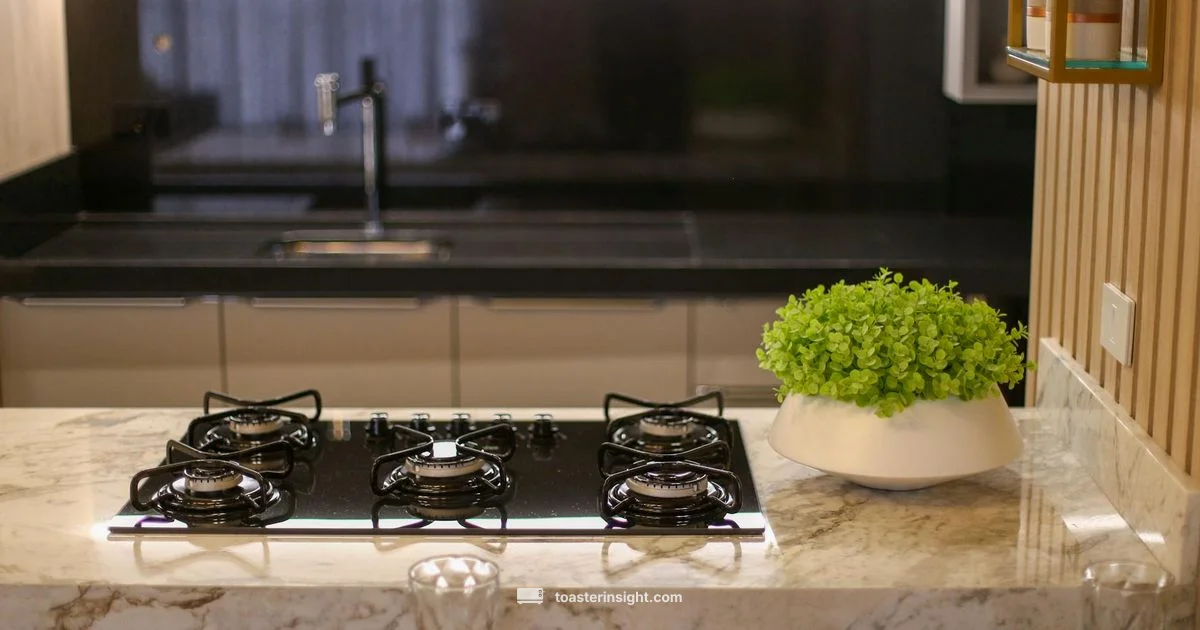 Toaster Levels Guide - ToasterInsight