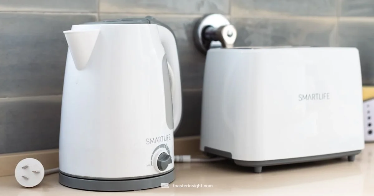 New Toaster Odor - ToasterInsight