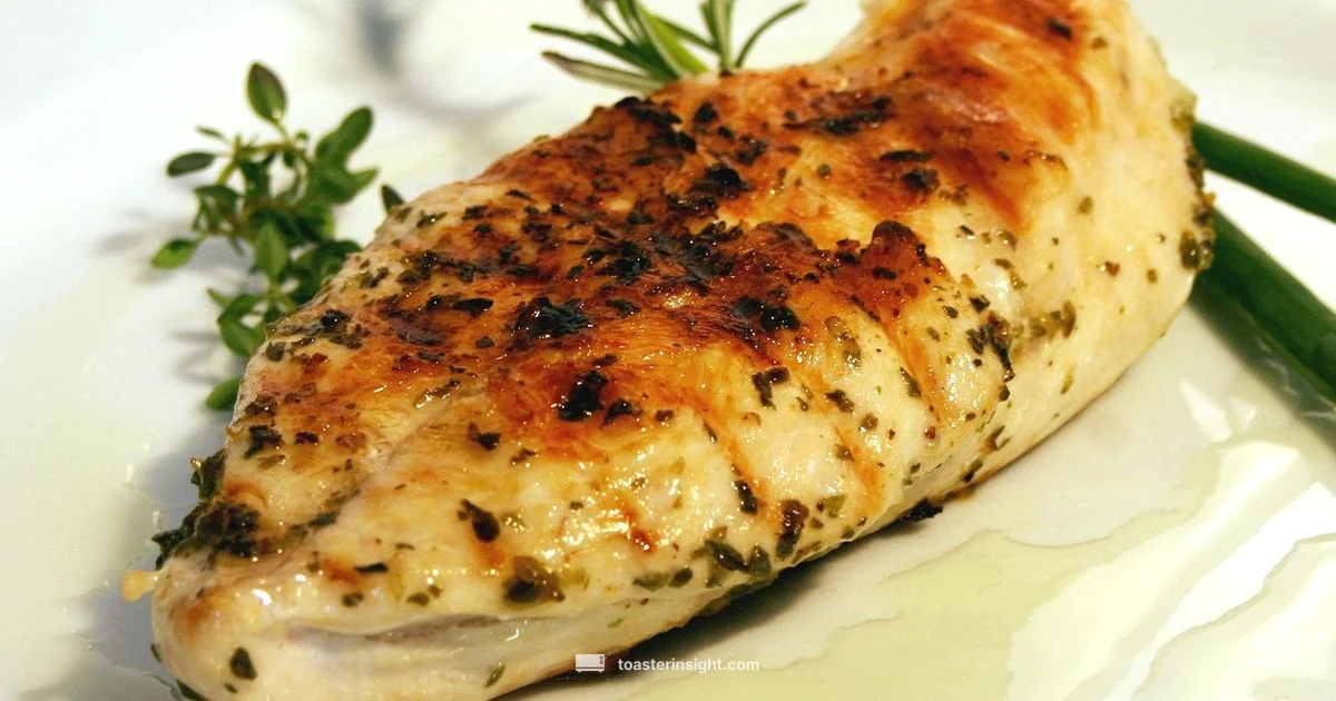 Chicken Toaster Guide - ToasterInsight