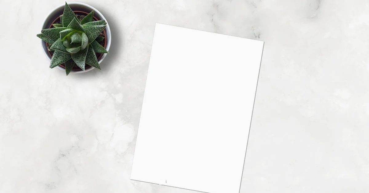 Pink Smeg Toaster Review - ToasterInsight