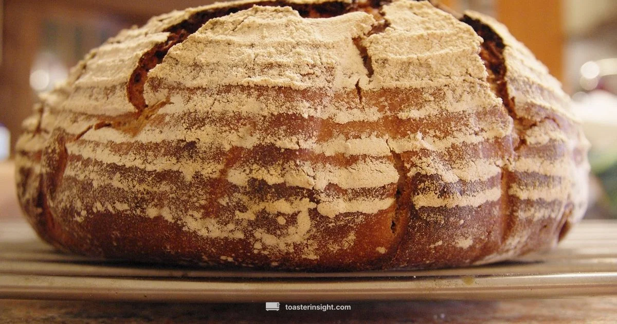 Smart toasting at Walmart - ToasterInsight