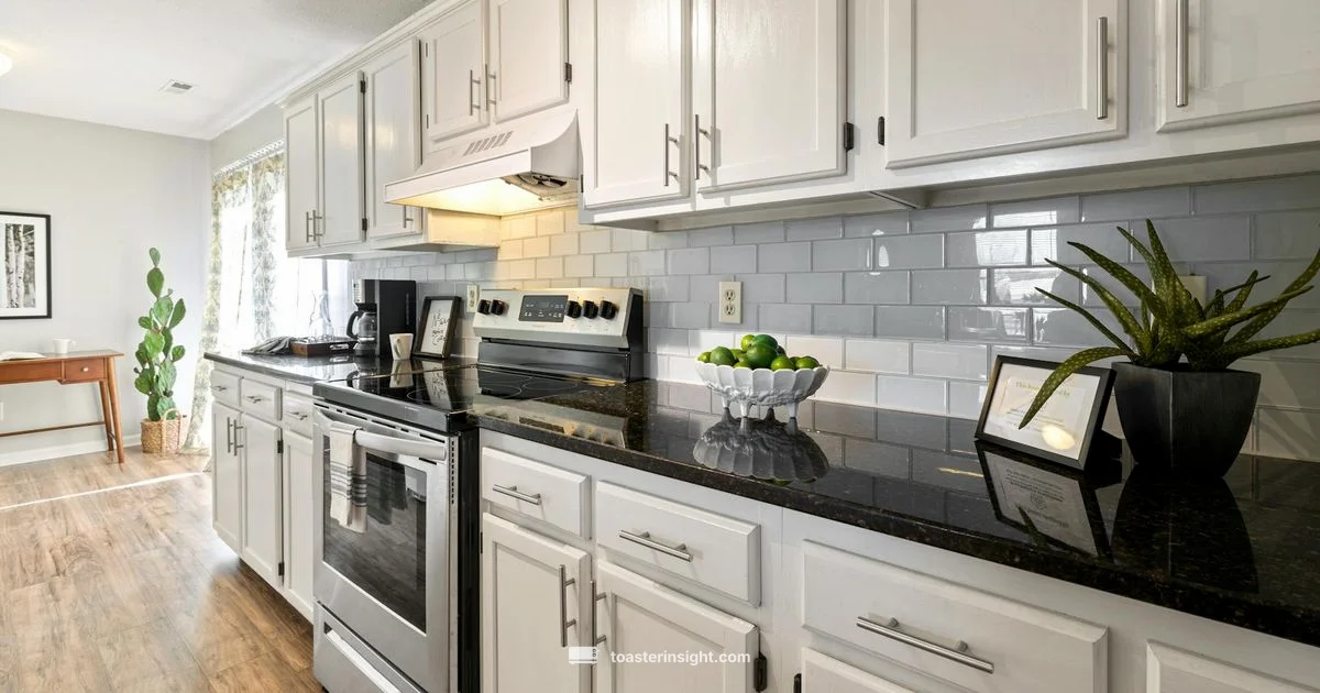 White Finish on Ovens White Finish on Ovens - ToasterInsight