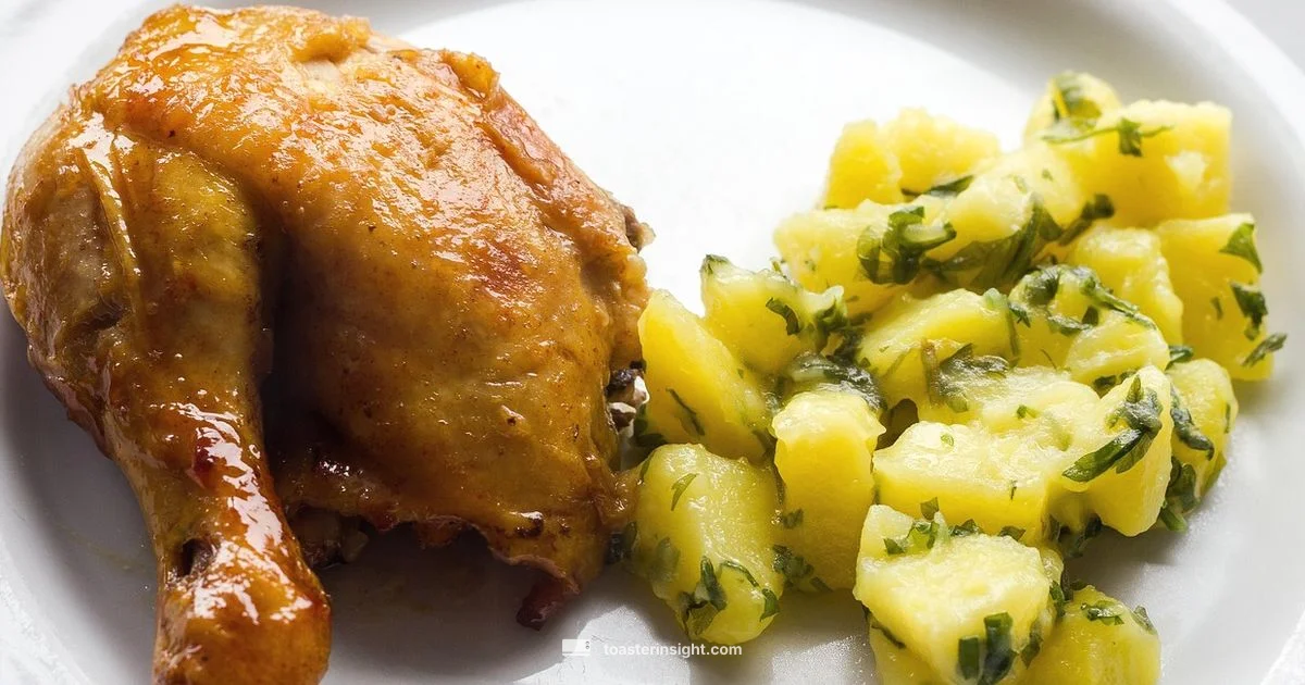 Chicken Toaster Guide Chicken Toaster Guide - ToasterInsight