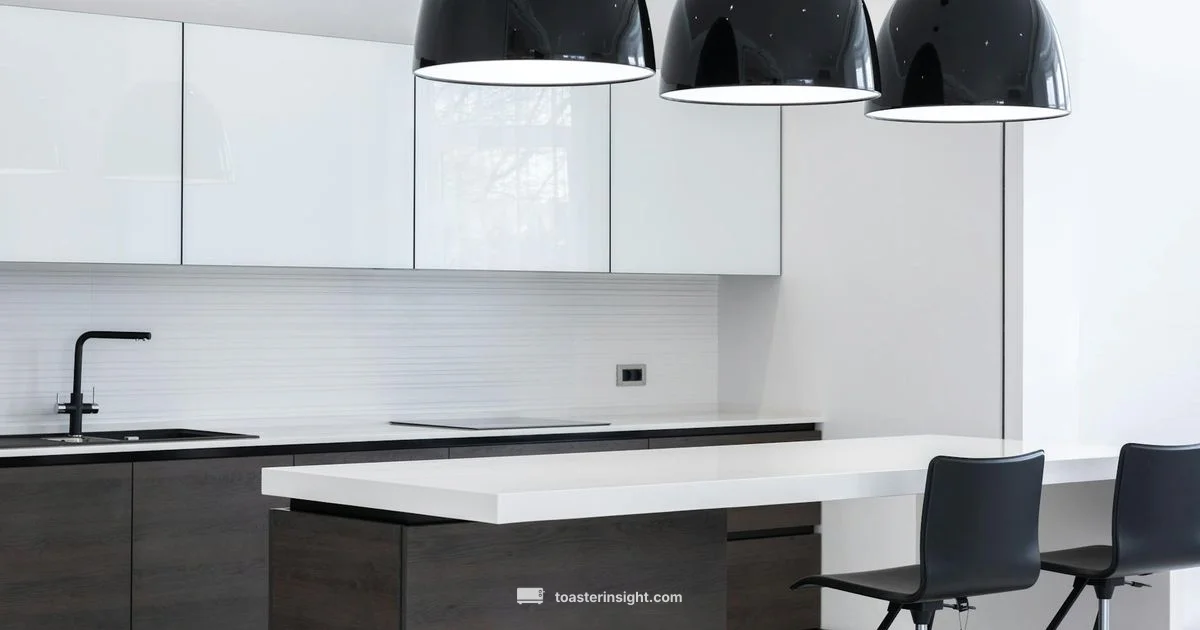 Dualit Toaster Guide - ToasterInsight