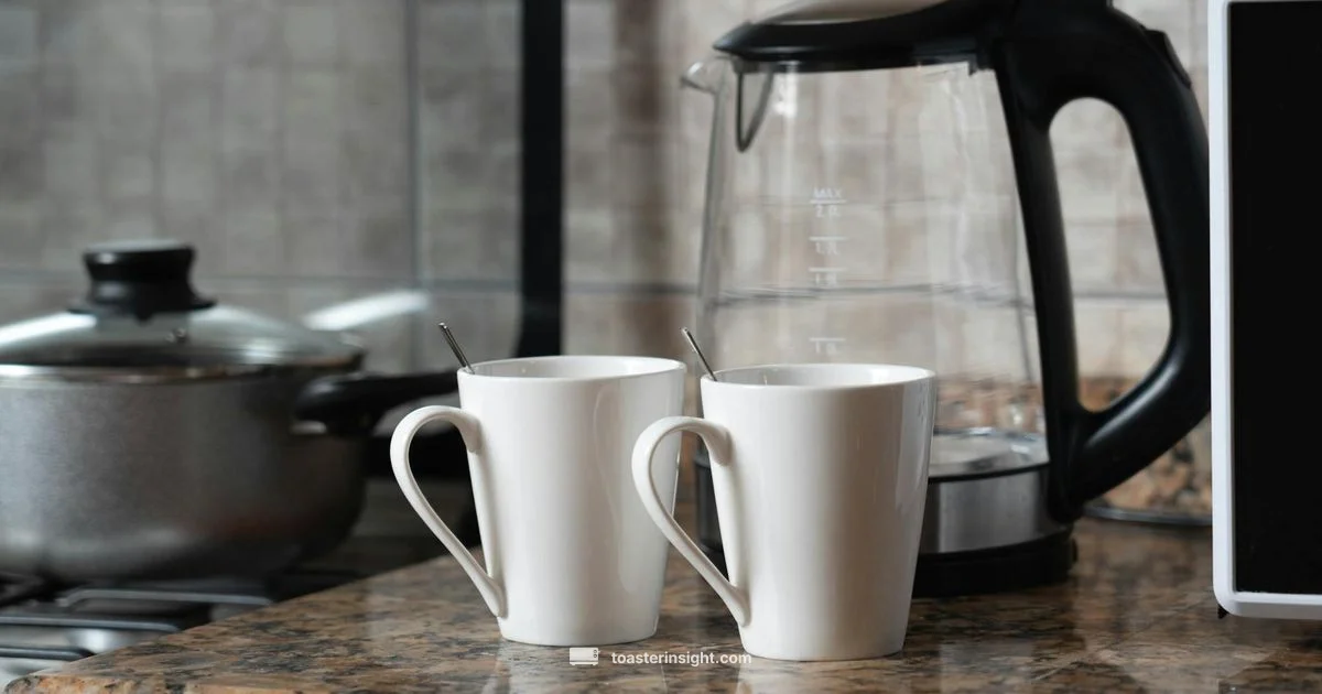 Travel Toaster Guide - ToasterInsight