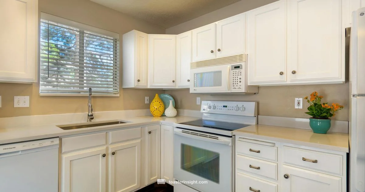 Toast Ready Everyday - ToasterInsight