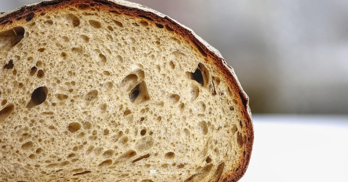 What Makes Toast - ToasterInsight