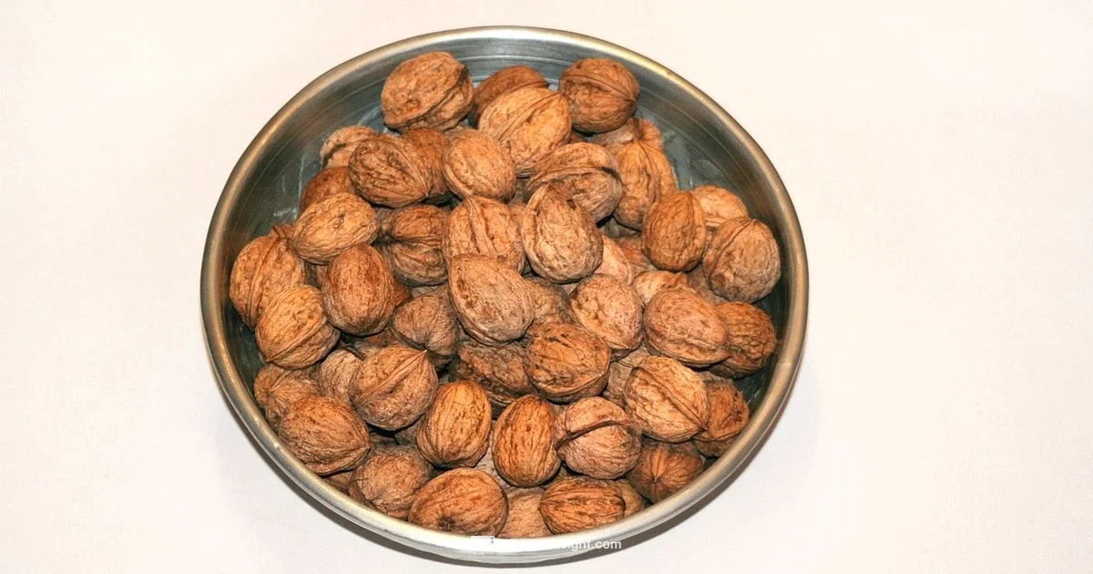 Toasted Walnuts - ToasterInsight