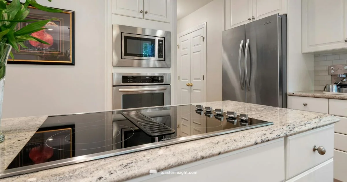 Deluxe Convection Oven - ToasterInsight