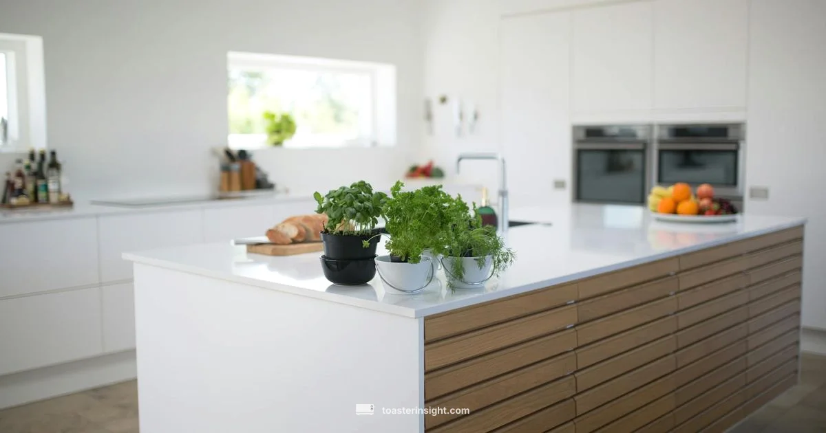 Toaster Buy Guide - ToasterInsight