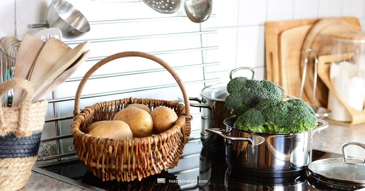 Electric Toaster Ovens - ToasterInsight