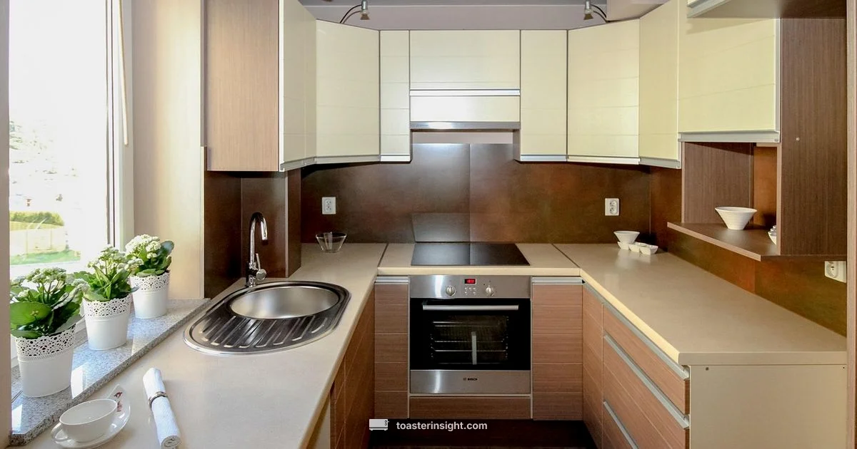 Dorm Appliance Guide - ToasterInsight