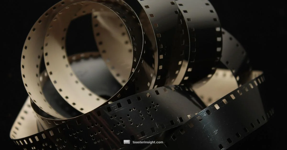 Classic Trailer Lookback - ToasterInsight