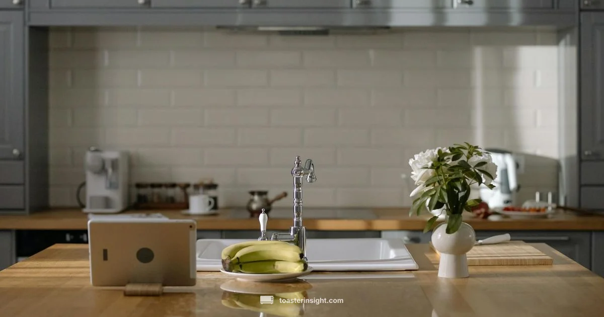 Lil Toaster Guide - ToasterInsight