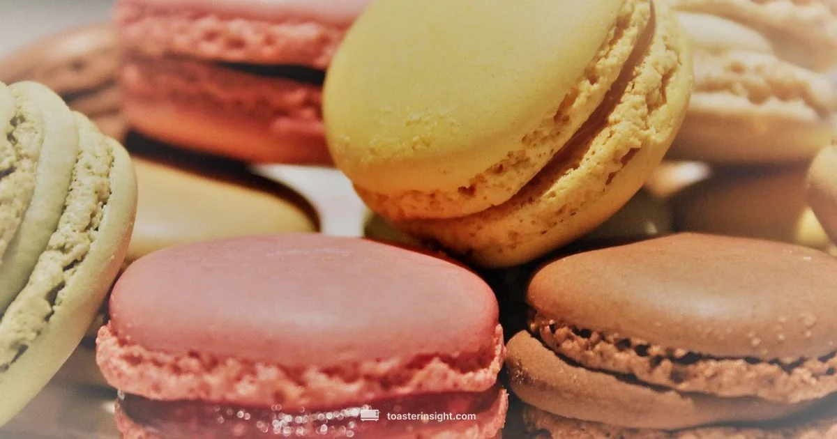 Cute Toaster Guide - ToasterInsight