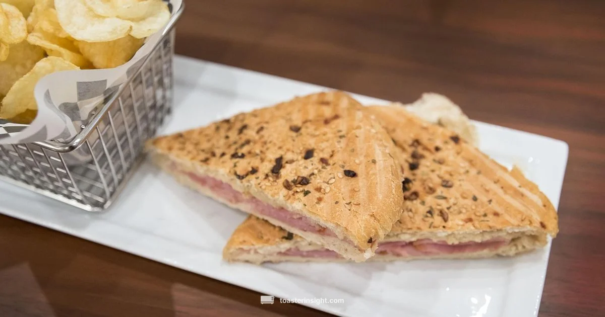 Panini Toast Guide - ToasterInsight