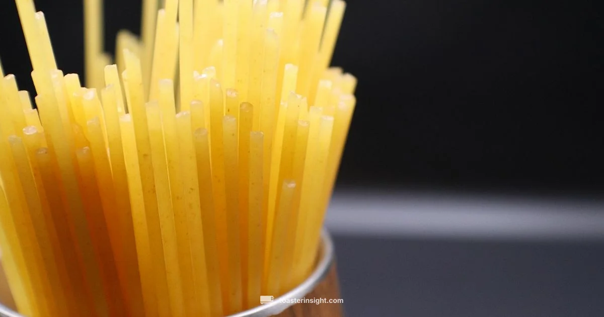 Toaster Insight Guide - ToasterInsight