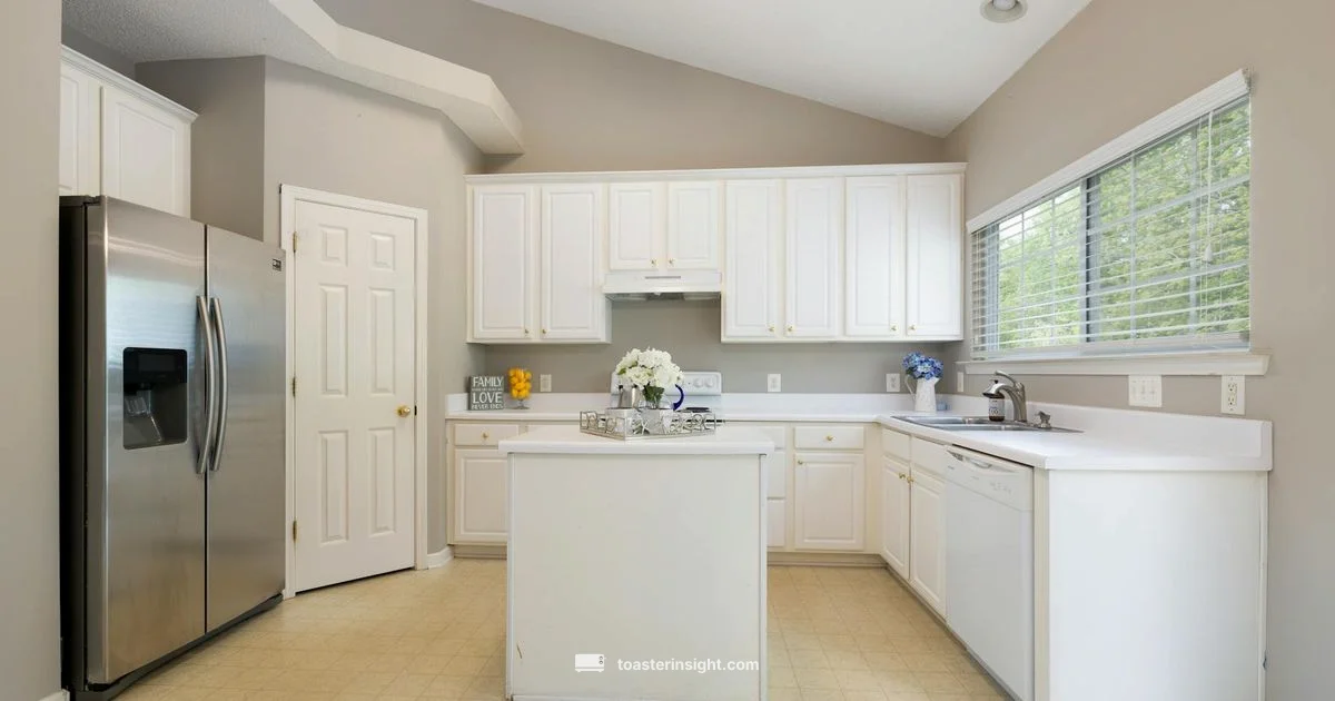 Toaster Master Guide - ToasterInsight