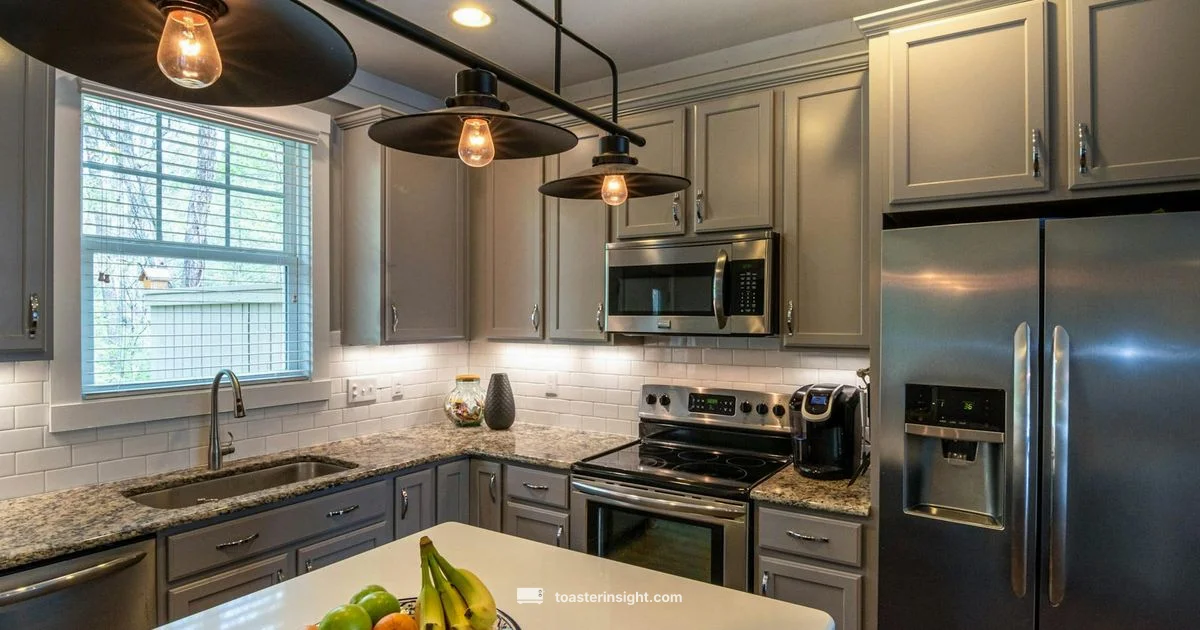 Convection vs Toaster Oven - ToasterInsight