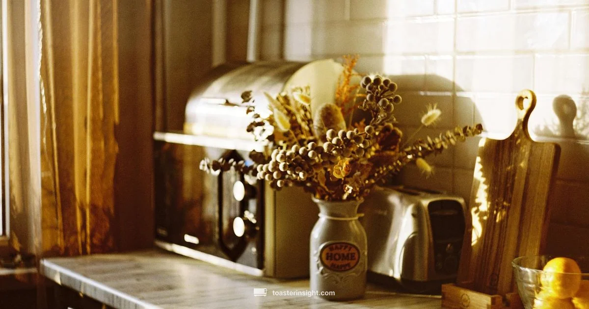 Toaster Placement - ToasterInsight