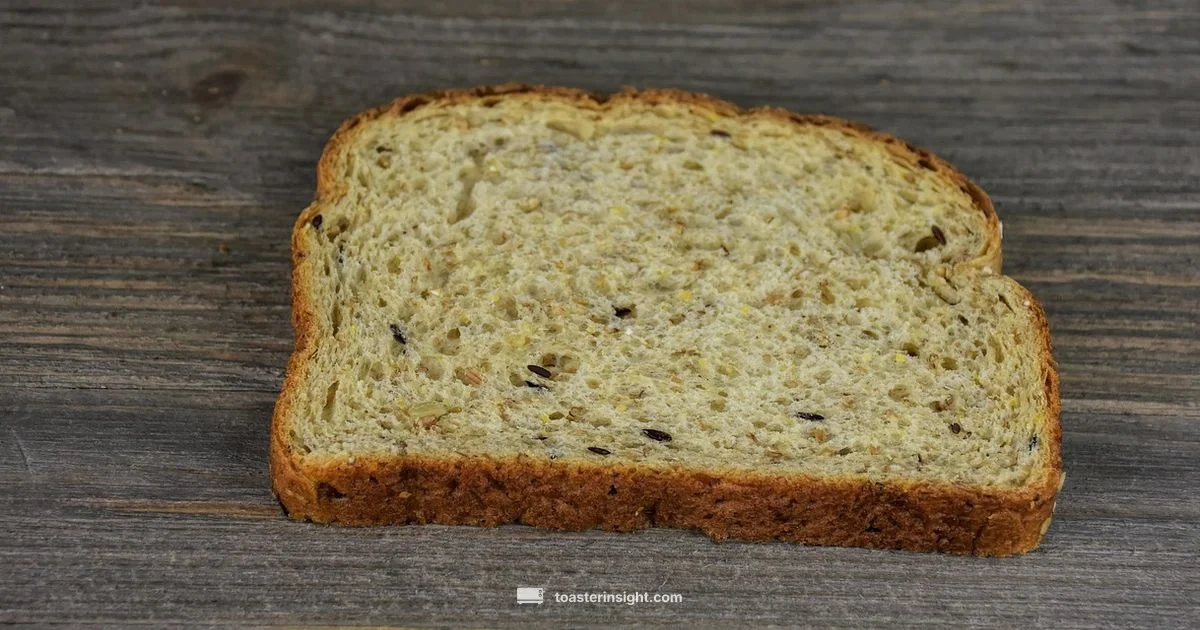 Toaster Grills Guide - ToasterInsight