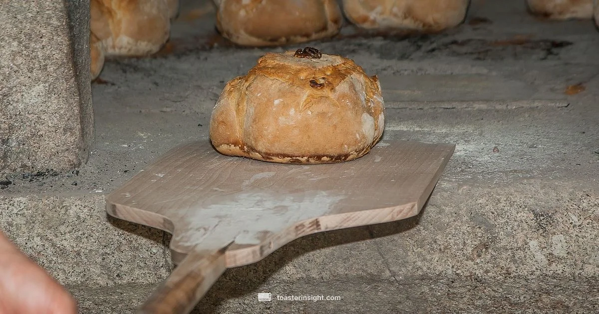 Toaster Oven Safety Toaster Oven Safety - ToasterInsight