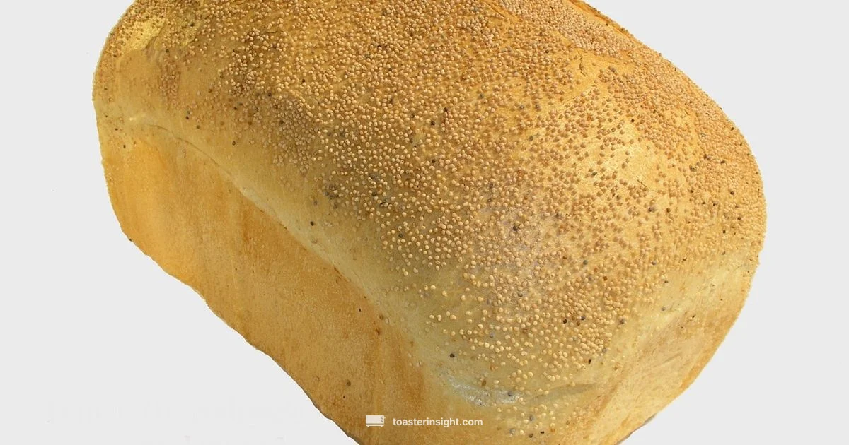 Easy Toaster Oven Meals - ToasterInsight