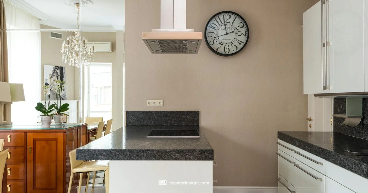 Toastmaster Guide - ToasterInsight