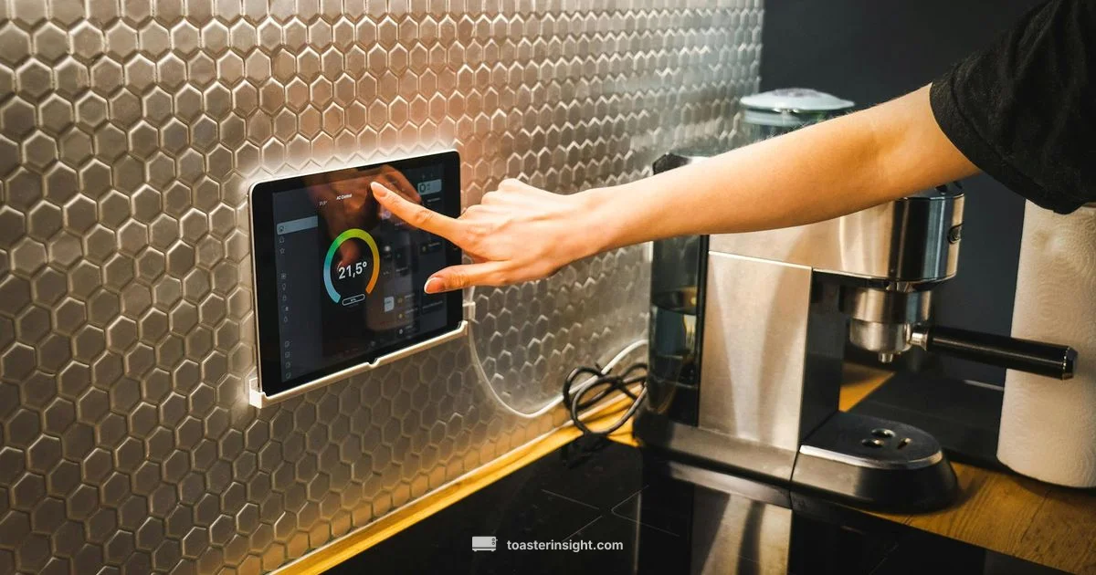 Toaster Email Guide - ToasterInsight