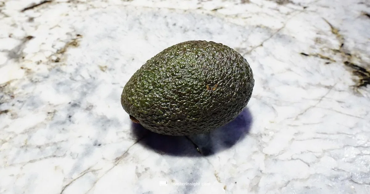 Keto Toast 101 Keto Toast 101 - ToasterInsight