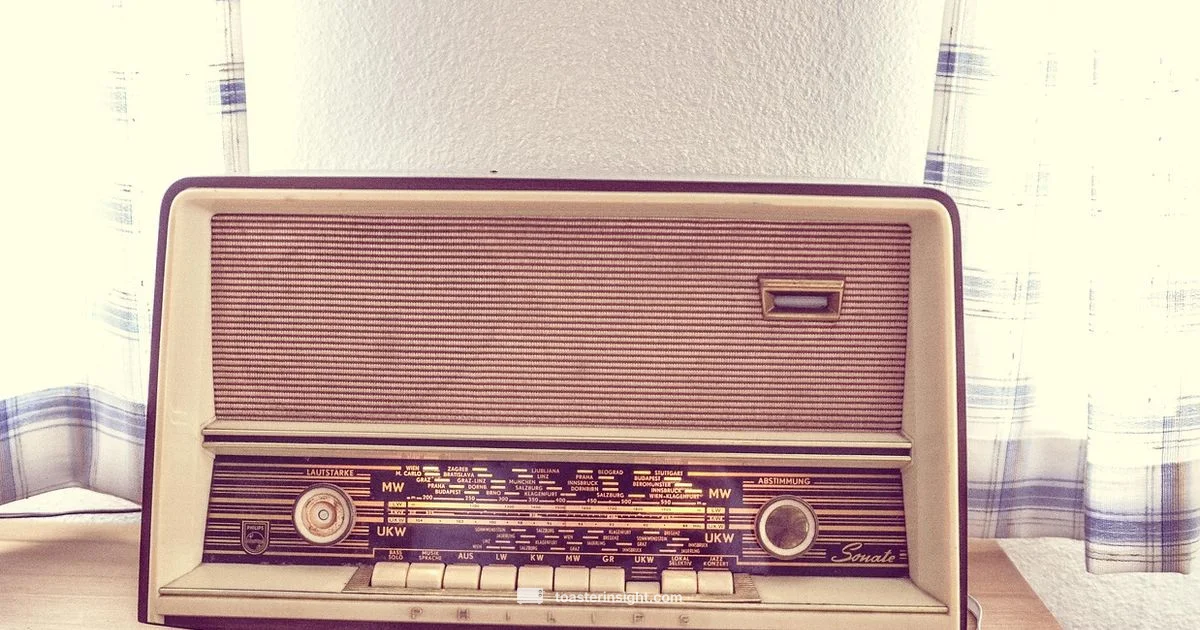 Radio Verse Insight - ToasterInsight