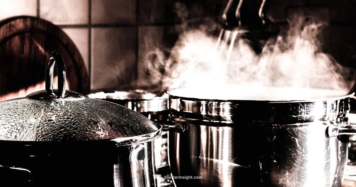 Steam Oven Guide - ToasterInsight