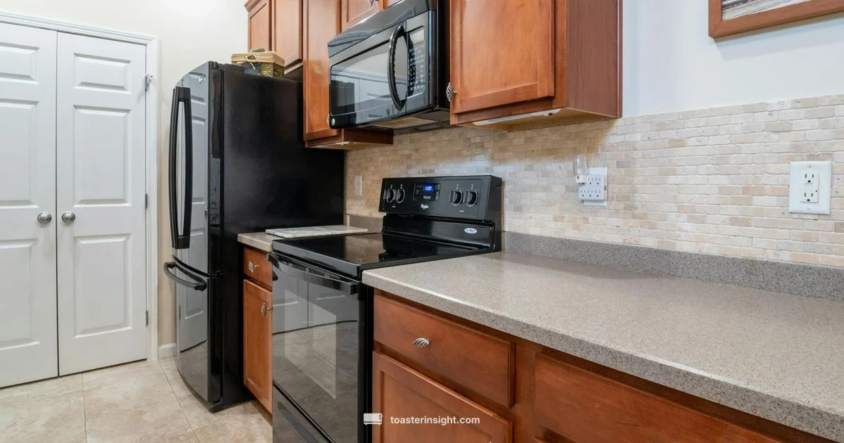 Non-Toxic Toaster Ovens - ToasterInsight