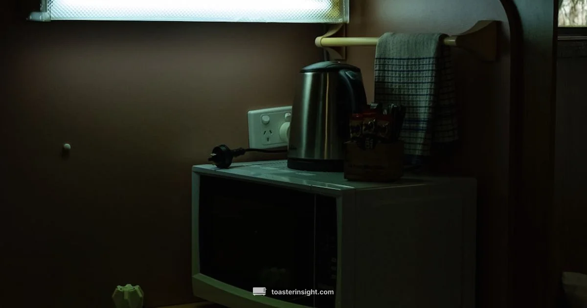 Are You Toaster - ToasterInsight