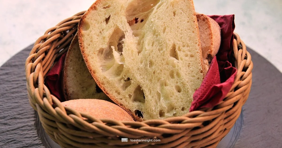 Toast Basics - ToasterInsight