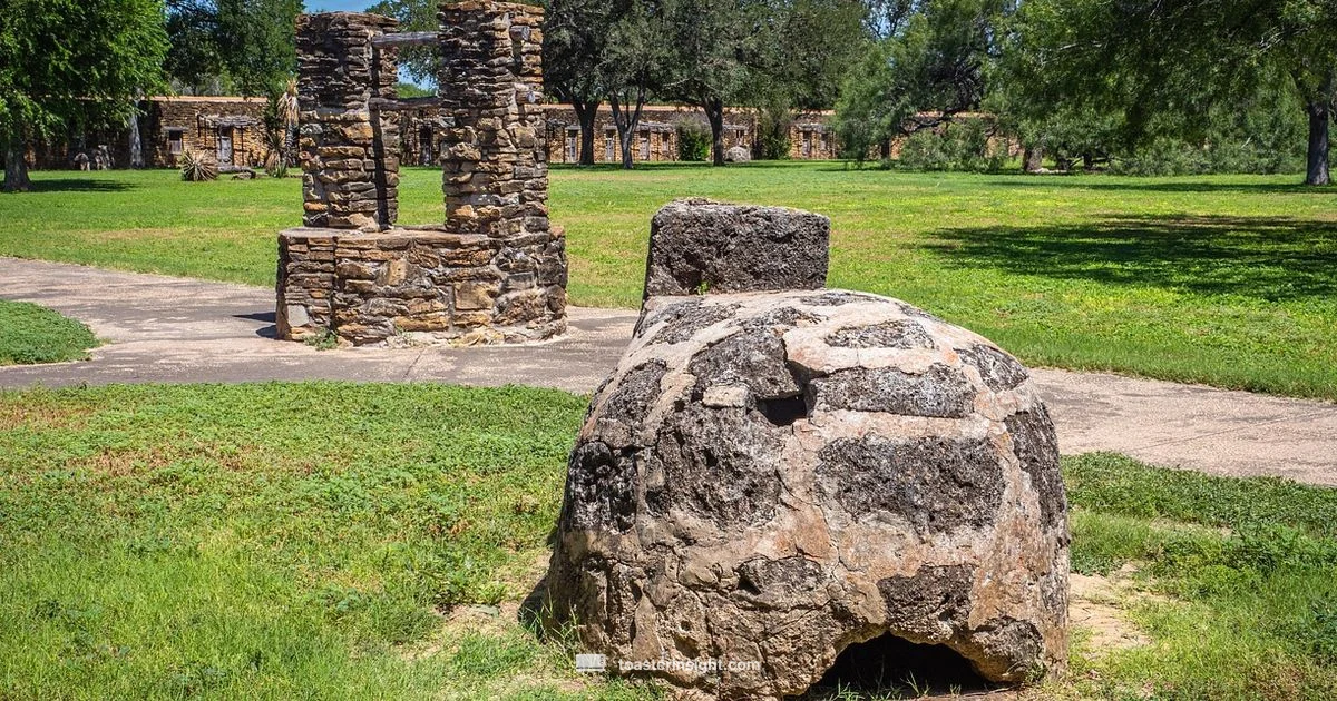 Lotus vs Breville - ToasterInsight