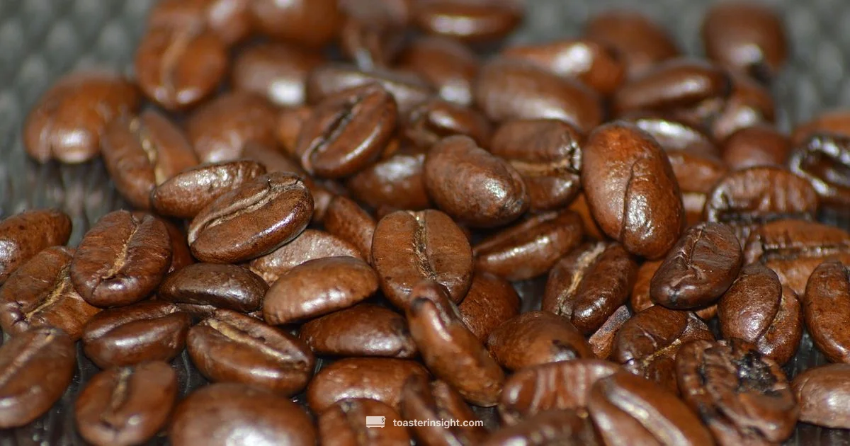 Toaster Troubleshooting Guide Toaster Troubleshooting Guide - ToasterInsight