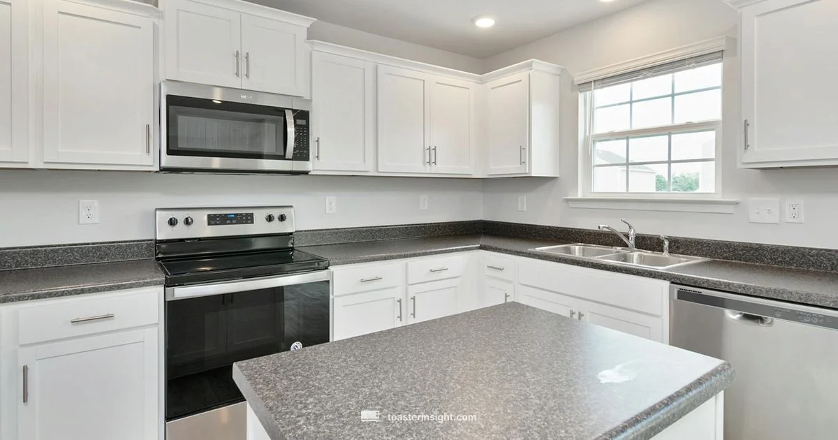 Best Buy Air Fryer Oven - ToasterInsight